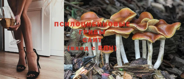 PSILOCYBIN Дмитров