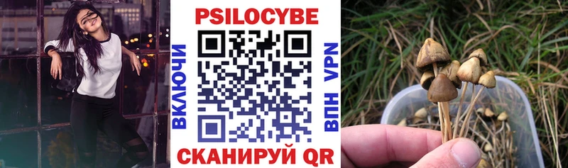 Псилоцибиновые грибы GOLDEN TEACHER  нарко площадка Telegram  Старая Русса 