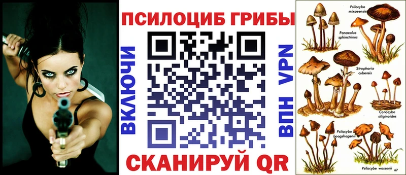 Псилоцибиновые грибы мицелий Старая Русса