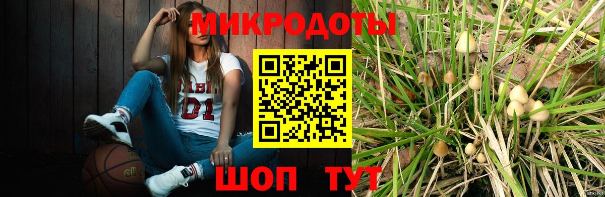 Псилоцибиновые грибы Cubensis Старая Русса