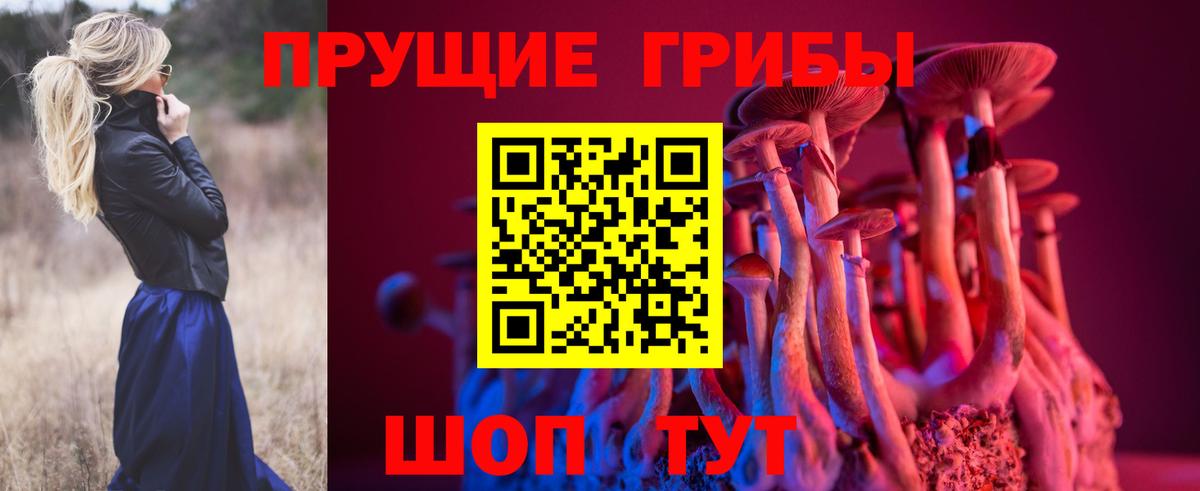 Псилоцибиновые грибы ЛСД Старая Русса